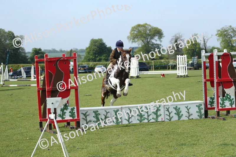 20260426-0237 - Class 13 - Rookie Jumping 50cm