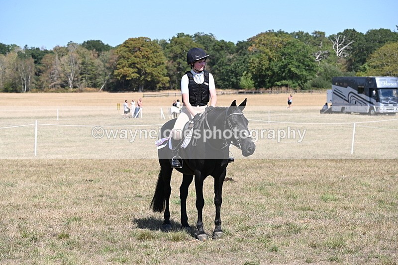 WJ6_9099 - Class 38 Ridden Riding Horse/Pony