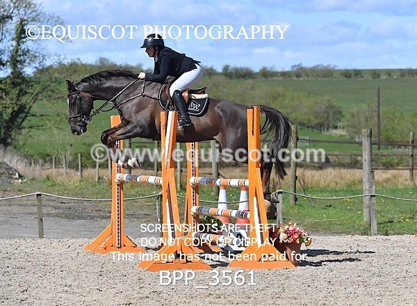 BPP_3561 - CLASS 7 Senior Foxhunter/ 1.20m Open