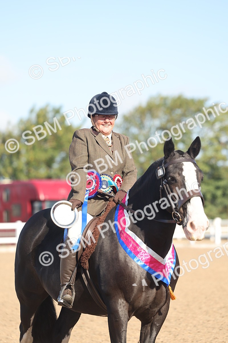 SBM_22238 - Class 802 - Ridden Groom Helpers Class