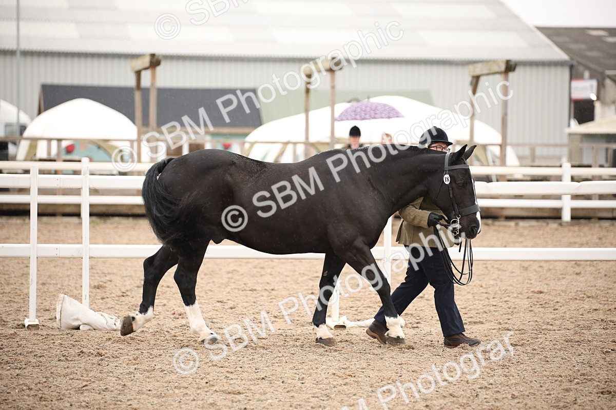 SBM_19278 - Class 701 - Best Turned Out IH & Ridden