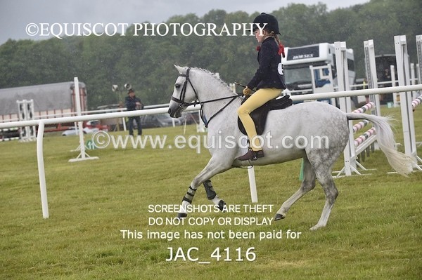 JAC_4116 - 40CM WORKING HUNTER