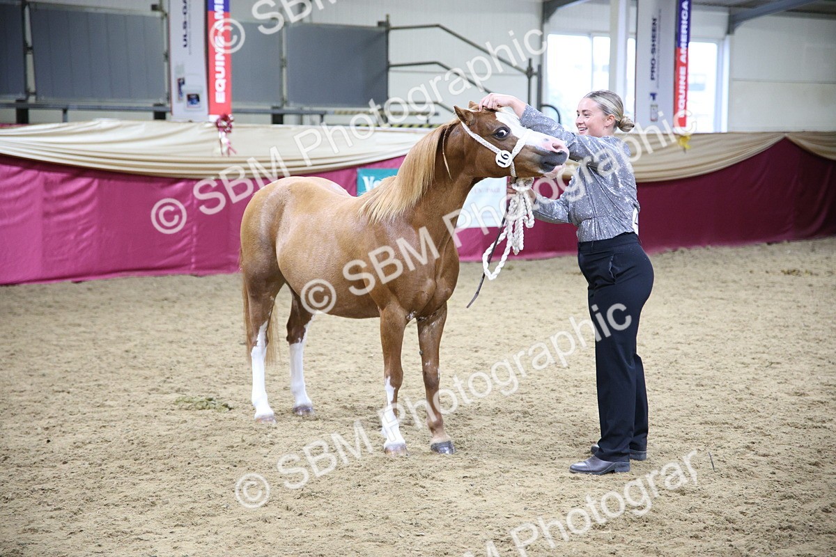 SBM_18966 - Class F Grass Roots Champ