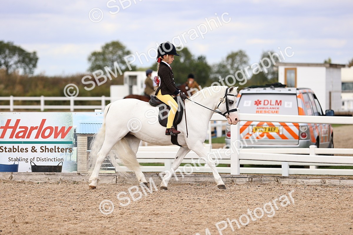 SBM_15931 - Class 416 - Prettiest Mare (IH or Ridden) Jnr
