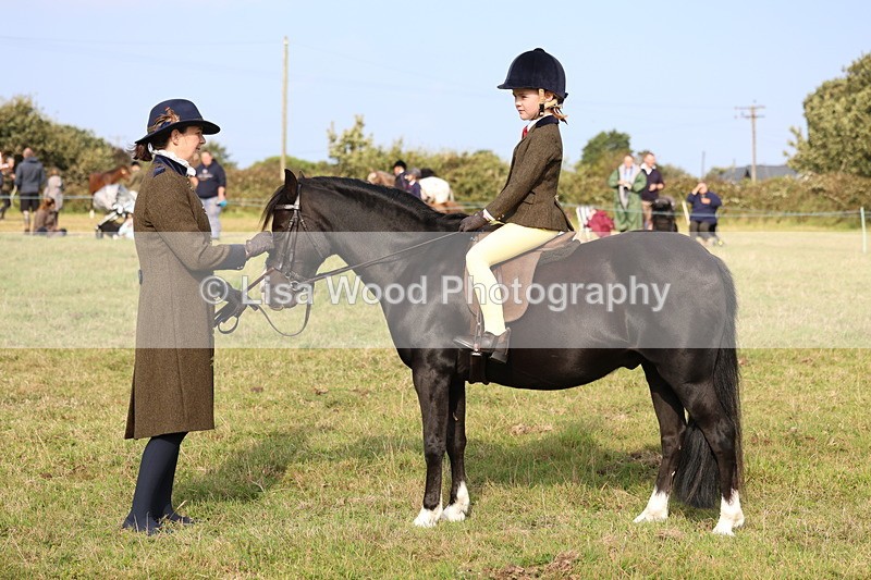 3E7A3711 - Class 2: Lead rein