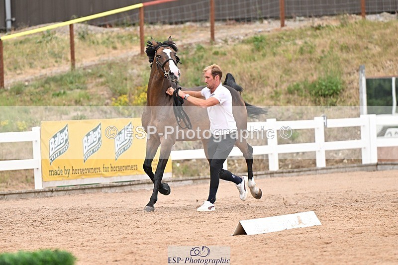 250716-161722-02543 - Trot Up 3.30 to 4.30