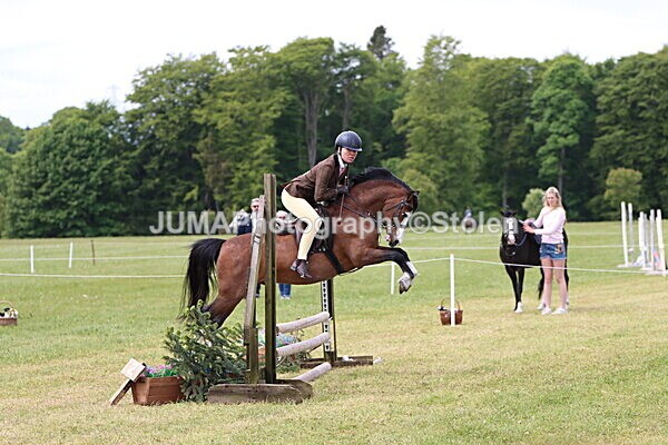 IMG_2874 - Working Hunter