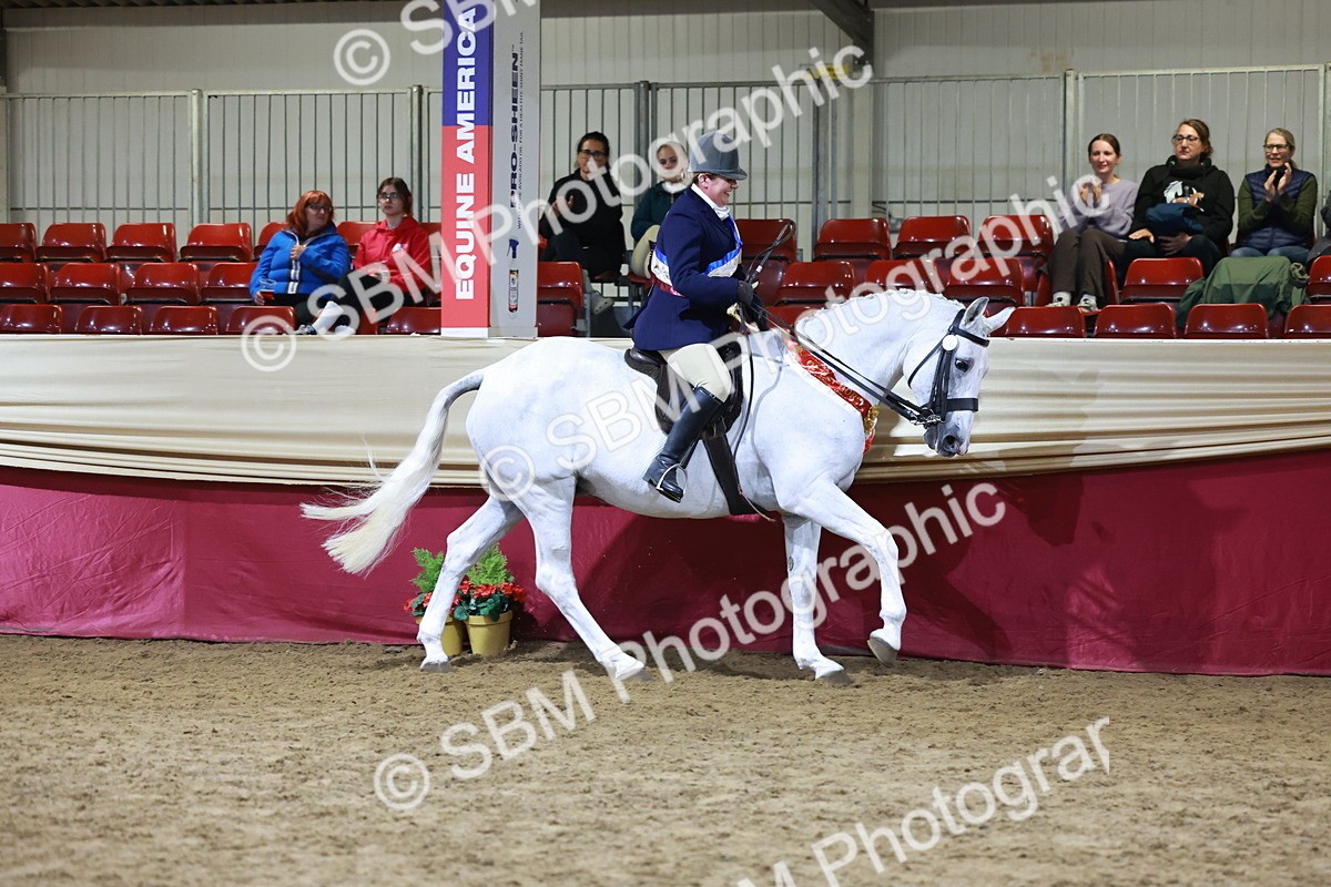 SBM_21258 - Class R - Veteran Champ