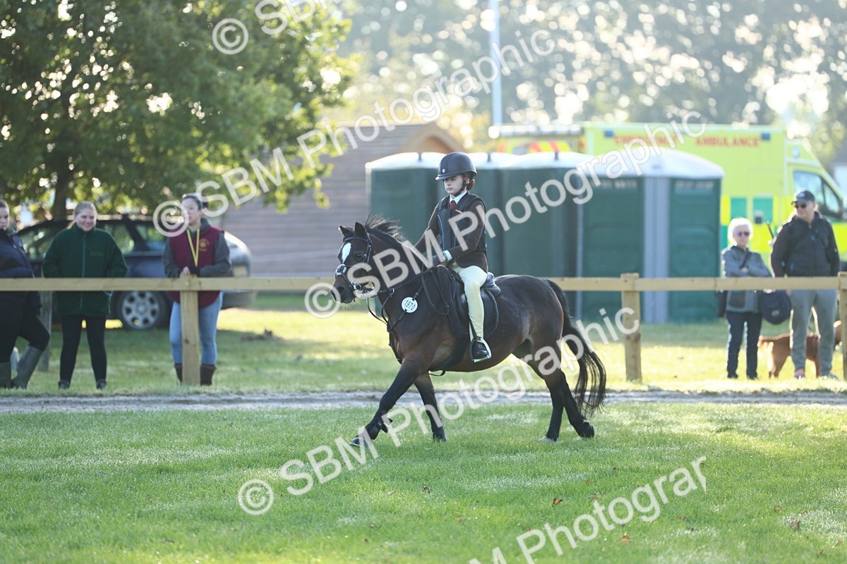 SBM_31874 - S28 - Nursery Stakes Working Hunter Pony