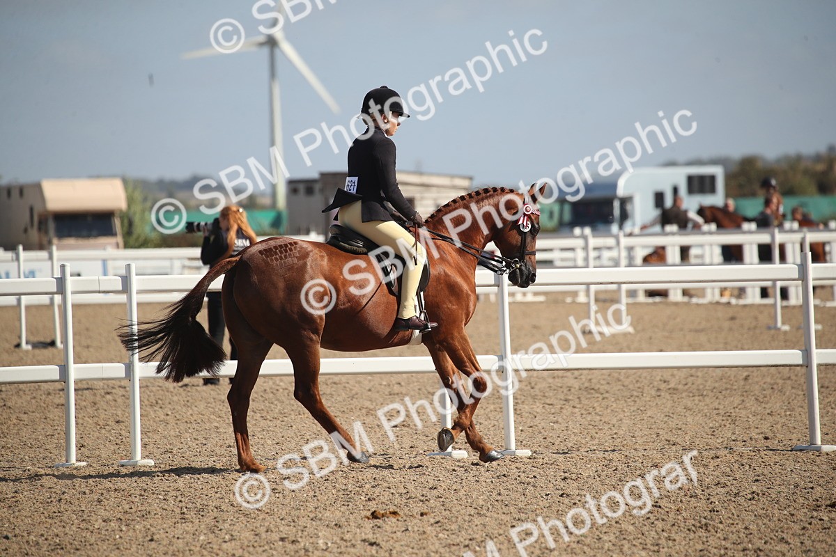SBM_22947 - Class 603 - 2026 - Ridden Pre Vet