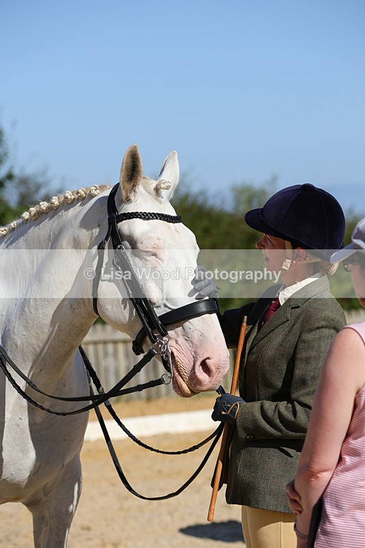 1X9A7810 - Class 9: Open Ridden Hunter