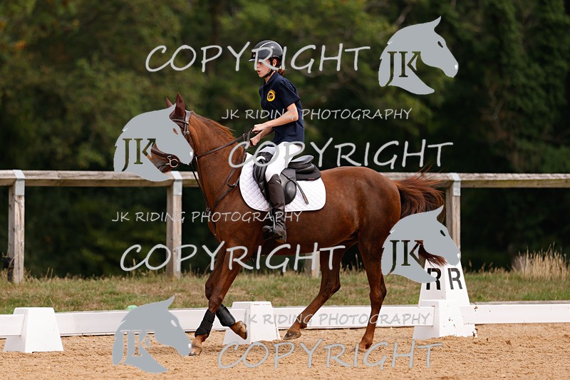 _R6A2510 - Dressage Morning