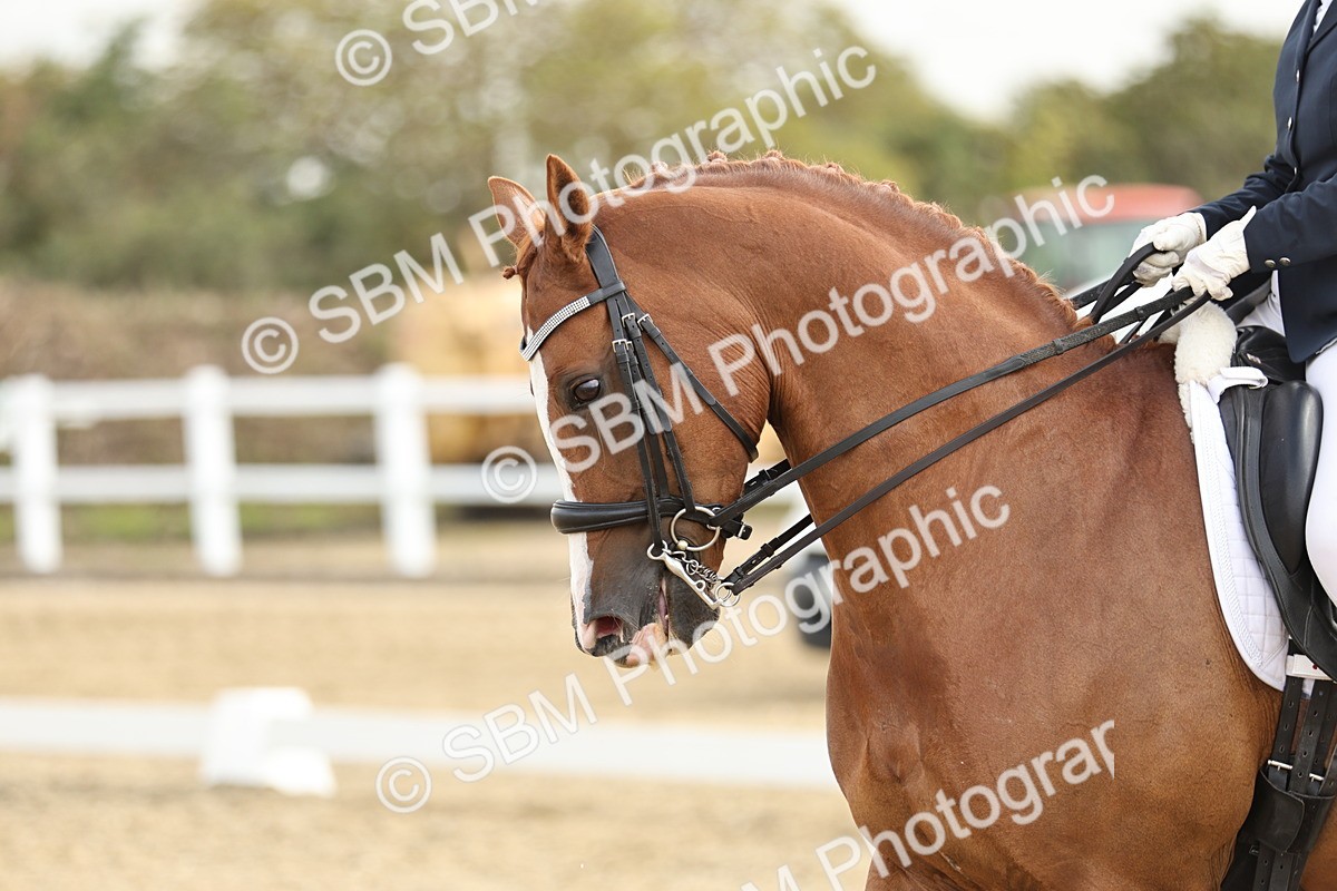 SBM_006862 - Class 21 - Medium 5 Bronze - 10.04-10.52