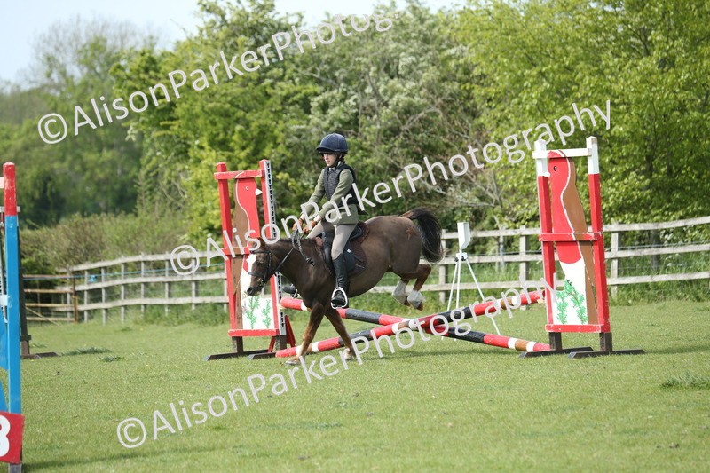 20260426-1693 - Class 14 - Novice 60cm