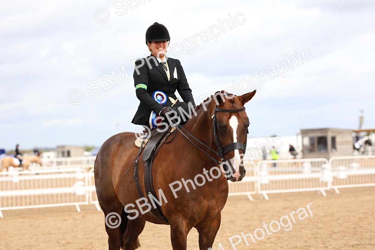 SBM_03475 - Class 24 - SSA Concours d'elegance (any age)