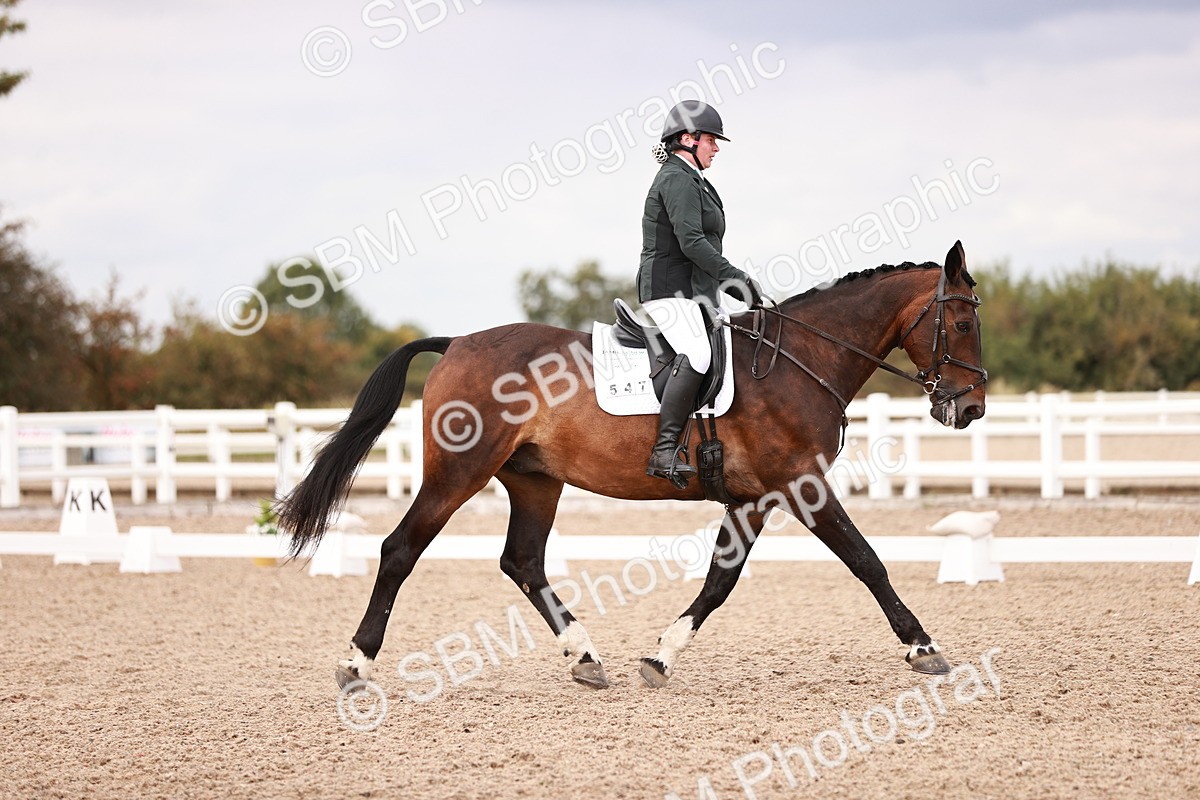 SBM_06363 - Class 37 - Novice 5