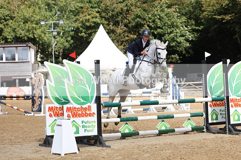 3E7A9190 - Class 9: Senior British Novice/90cm open