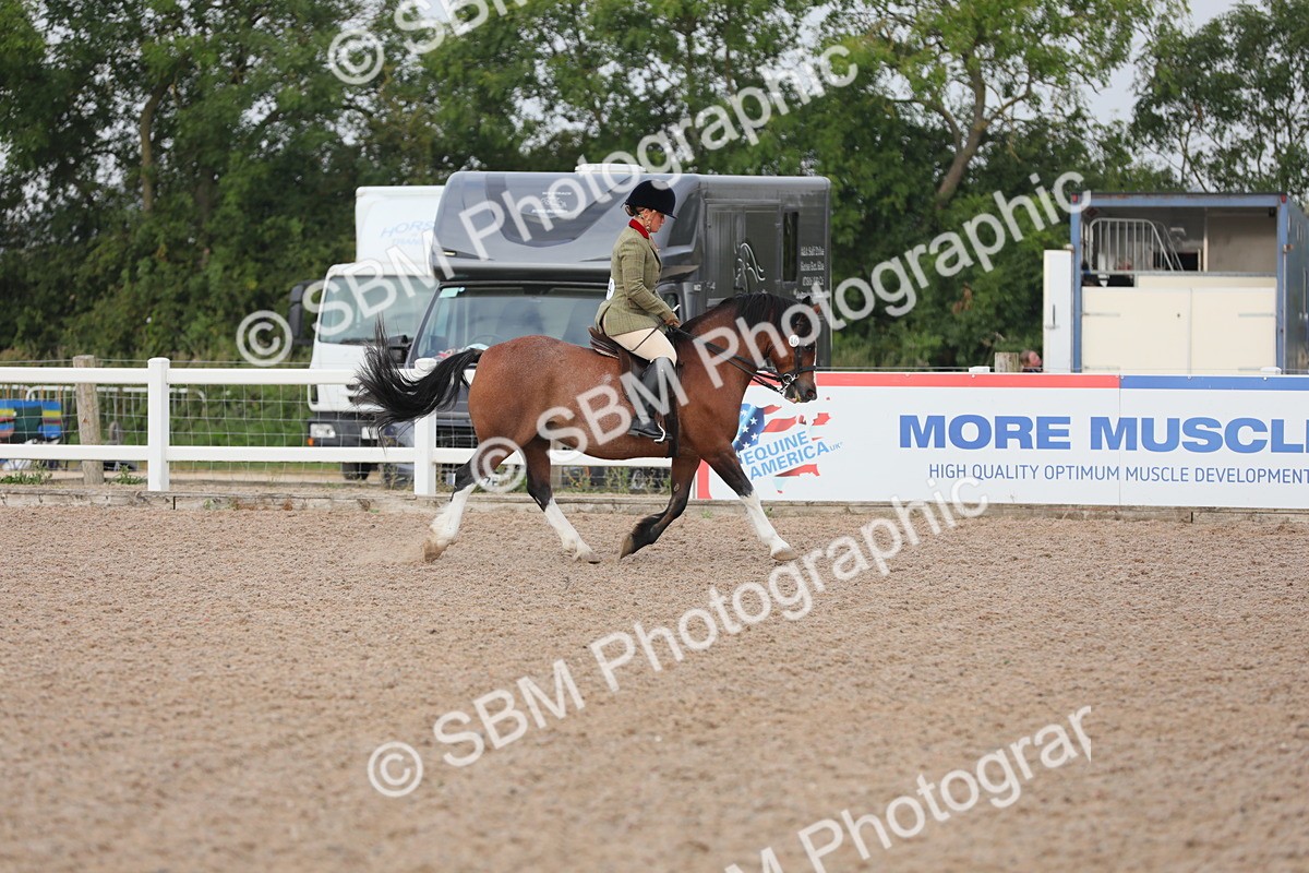 SBM_09997 - Class 302 Ridden M&M -Large Breeds