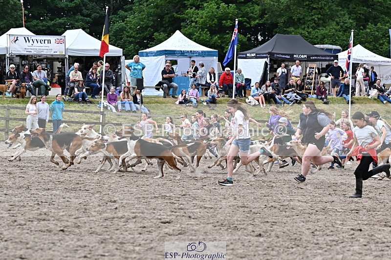 250524A-152734-12755 - East Devon Hounds