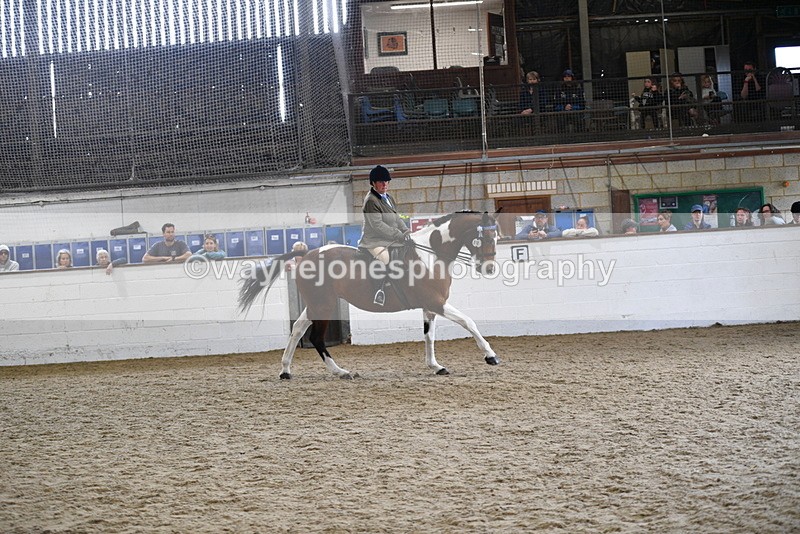 WJ5_6049 - Class 9 Ridden Veteran