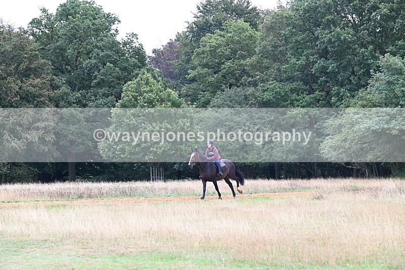 DSC_2500 - Time at Statue 12:34 to 12:56