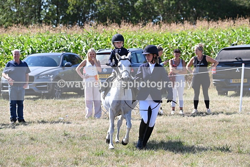 WJ6_8017 - Class 36 Lead Rein