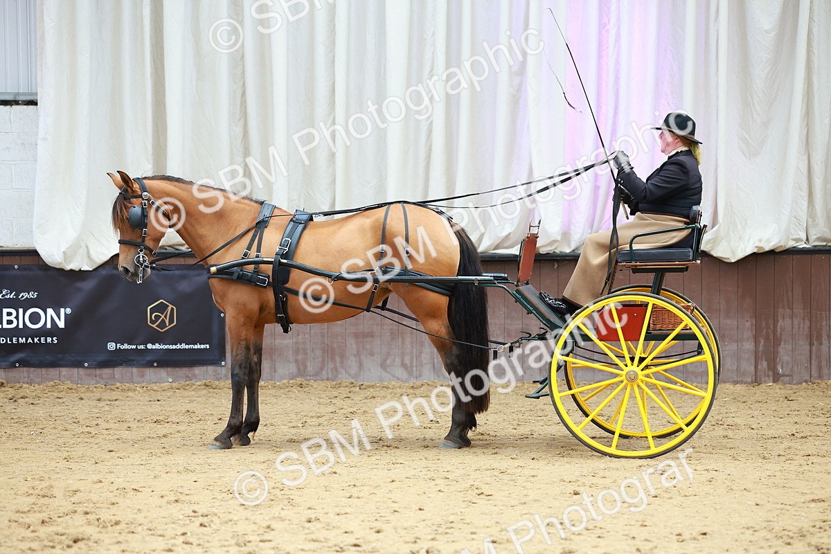 SBM_001067 - Class 15 - Open Showmans Class