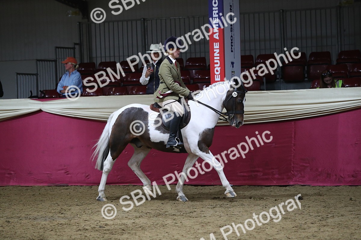 SBM_08496 - Class 11R Regional Ridden Veteran