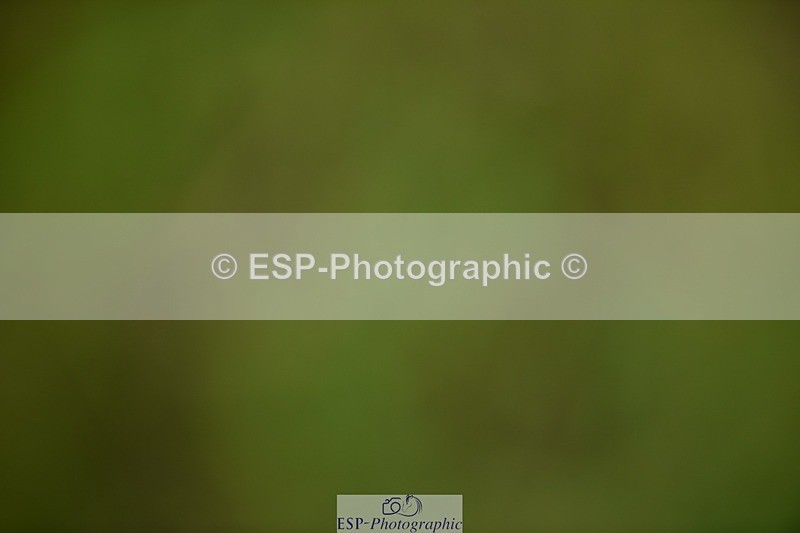 240523B-114134-02043 - 5 Year Old
