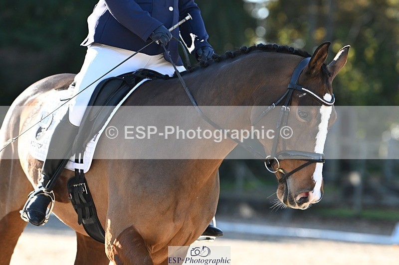 231110-112408-00399 - Cls 2 Prelim 17(a)Q