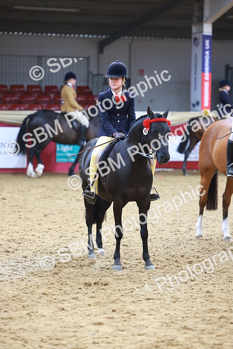 SBM_12650 - Class 103 - HOYS Veteran Qualifier - Ridden Pre Vet