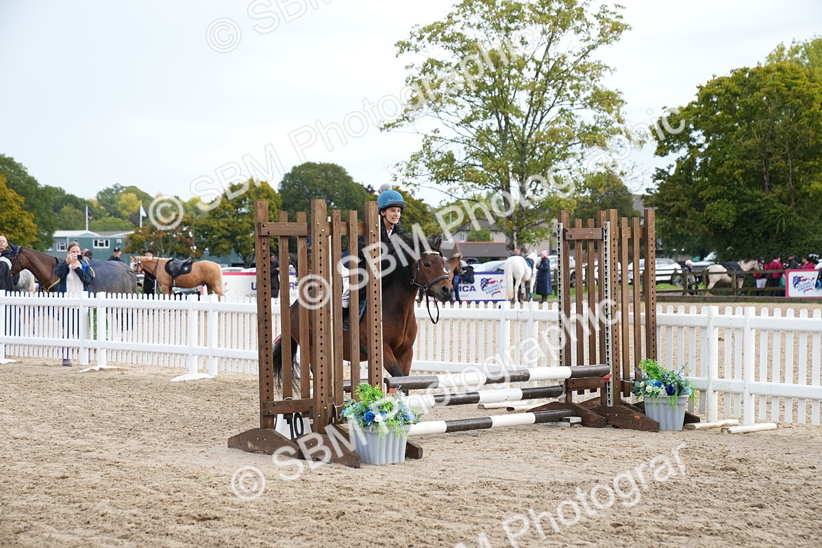 SBM_01940 - J54 - Clear Round 50cm