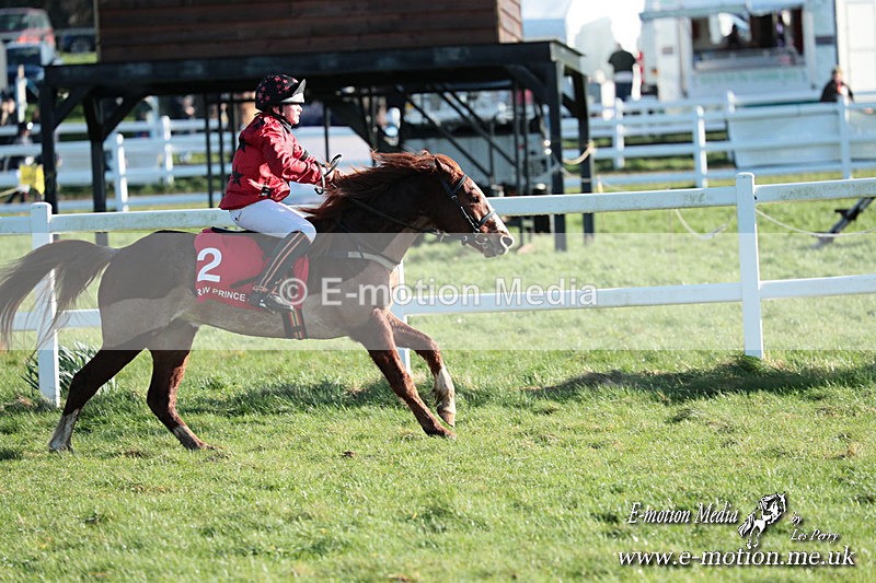 PtP 230324 1266 - Tedworth Hunt PtP Larkhill Raccourse 23rd March 2024