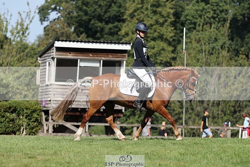 250823A-103623-27744 - Arena D