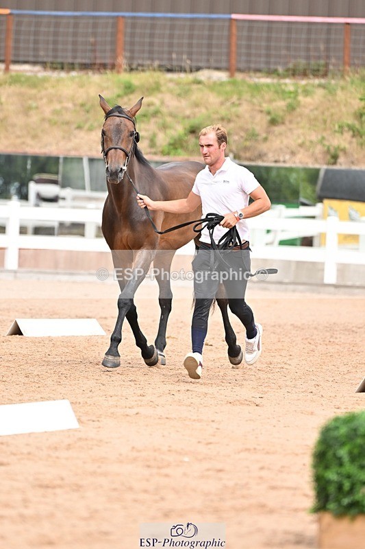 250716-154333-02162 - Trot Up 3.30 to 4.30