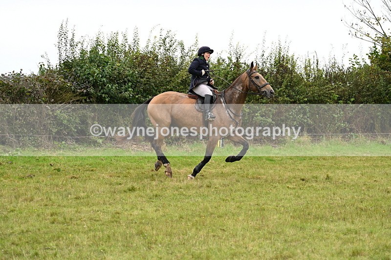 WJ7_4217 - Camera 1 Line 2