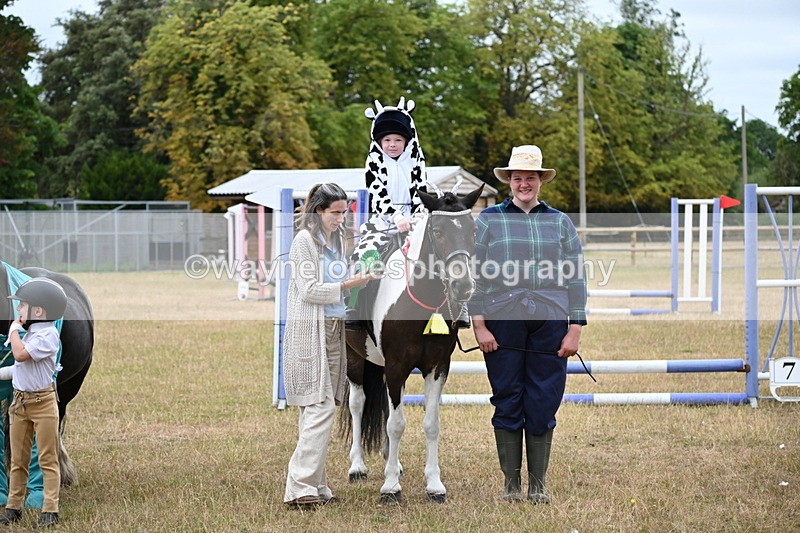 WJ6_9054 - Class 11 Fancy Dress