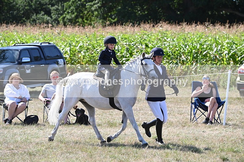 WJ6_7995 - Class 36 Lead Rein