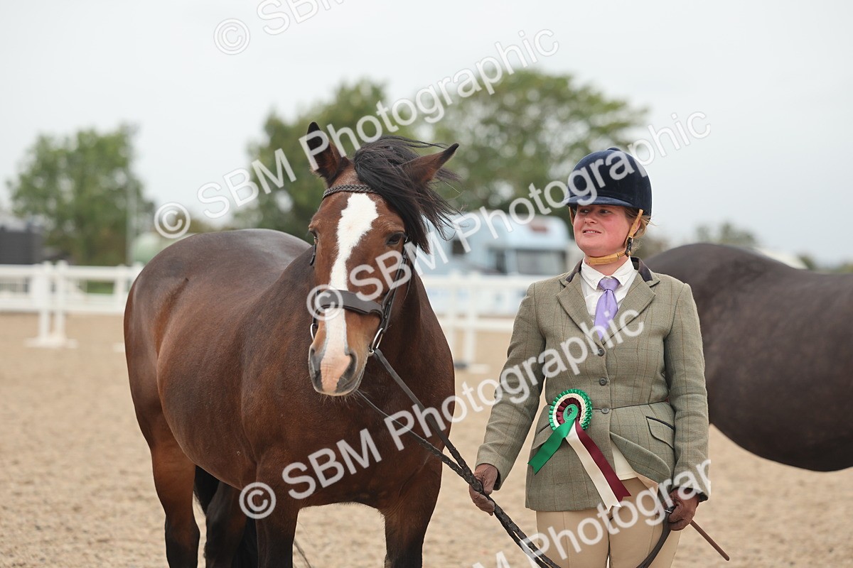 SBM_19899 - Class 318 - IH Part Bred Horse-Pony