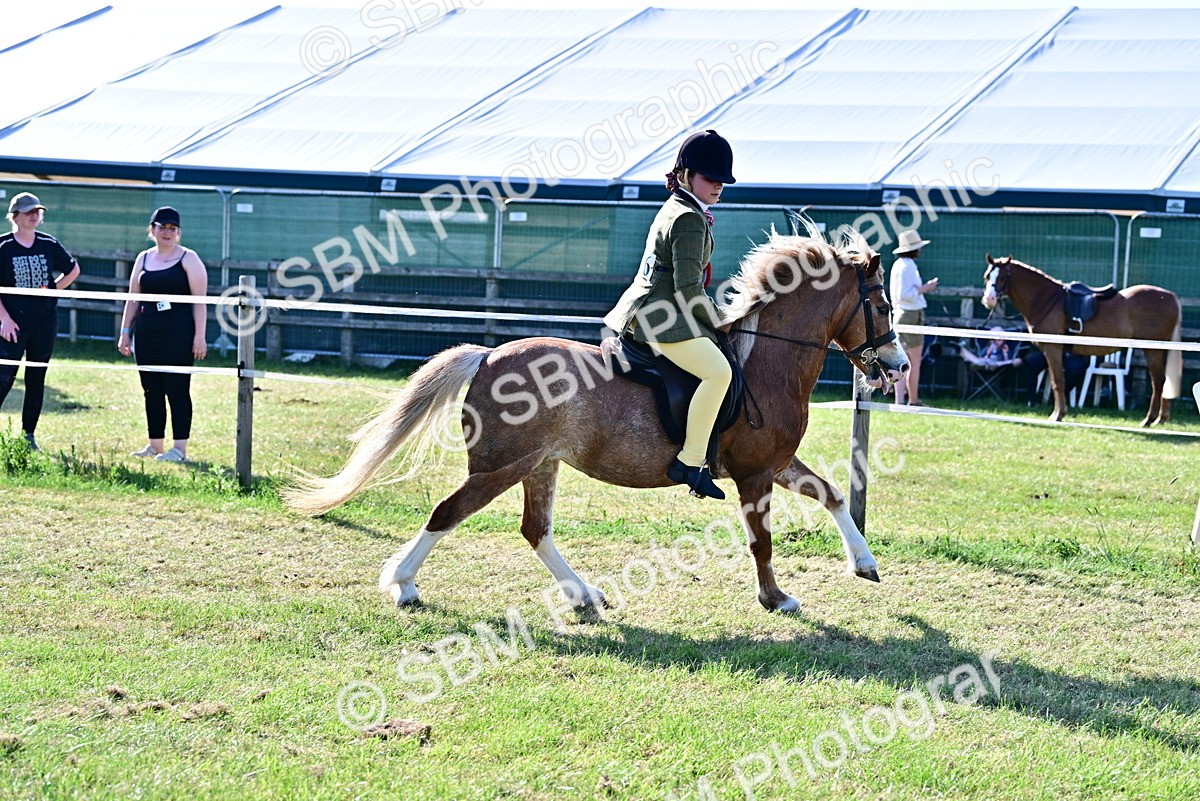 SBM_19864 - Class 103 - 105 - TSR Ridden Amateur of the Year Plaited Ponies