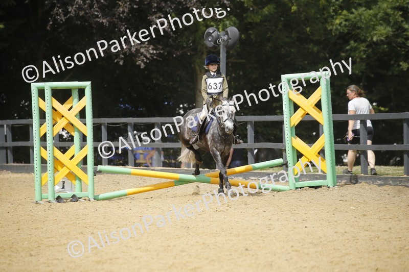 20250622-4013 - 50cm