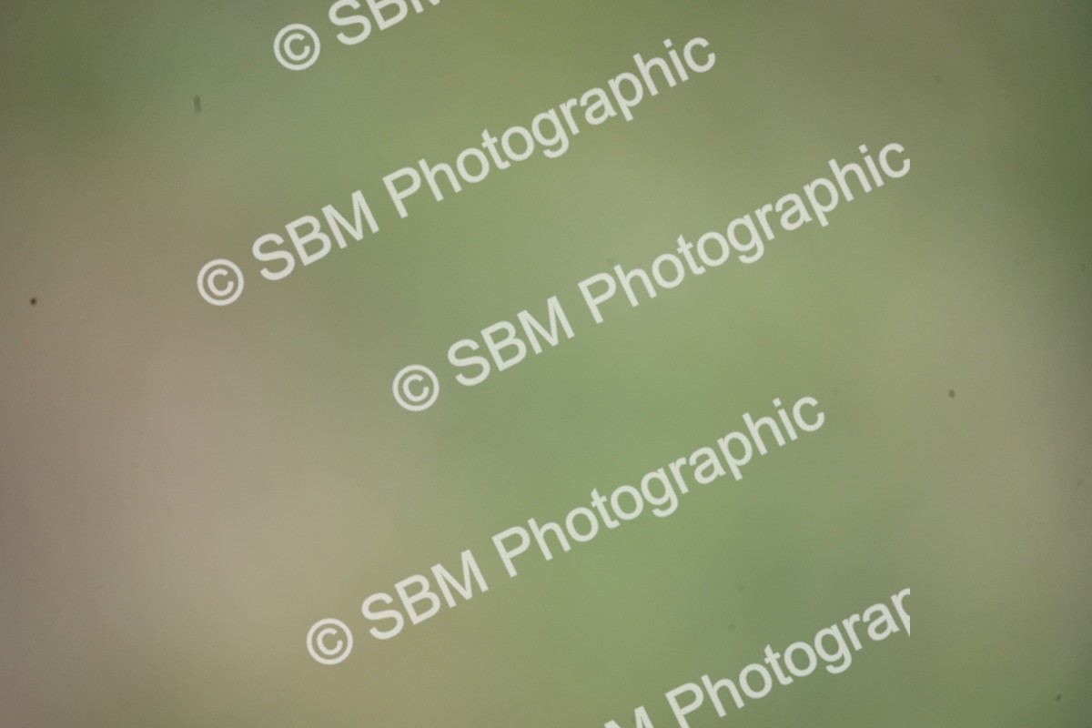 SBM_10214 - Dinky Derby