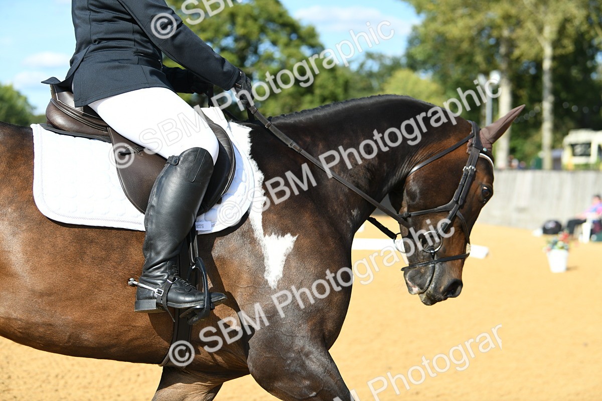 SBM_27013 - D16 - Small Tour Championship - Novice 28
