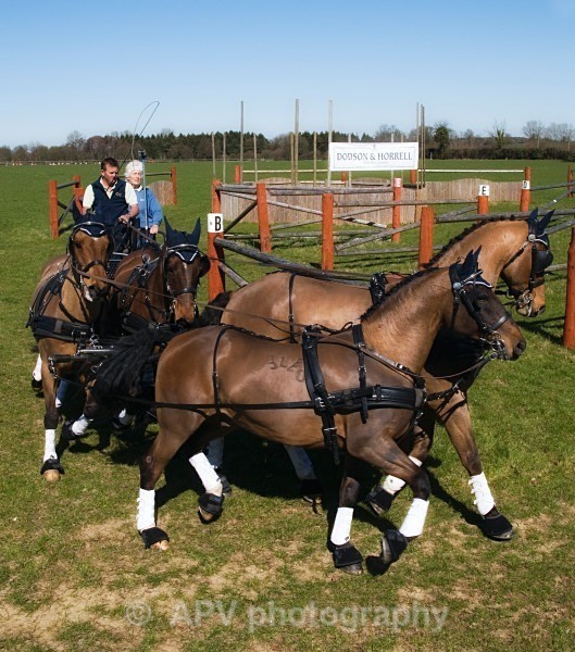 _DSC8846 - Ashfields Carriage & Polo Club