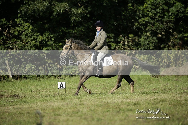 BVRC 120921 159 - Bourne Valley Riding Club UA Dressage & Show Jumping 12/09/21