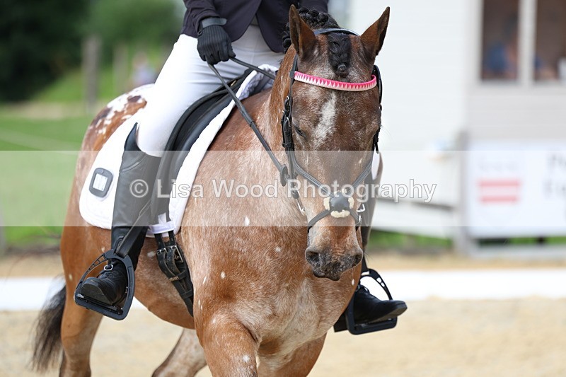 3E7A1442 - Class 2: Intro 2 2024 Section B