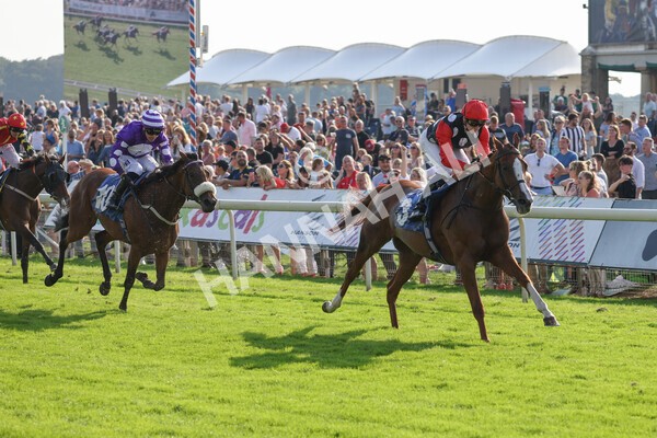 yr05092021r5-20 - Race 5 4.20pm Little Green Rascals Children's Nurseries Stakes