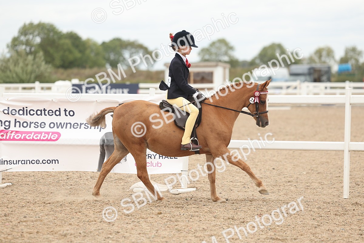 SBM_19126 - Class 316 - Best Pony-Rider Combination