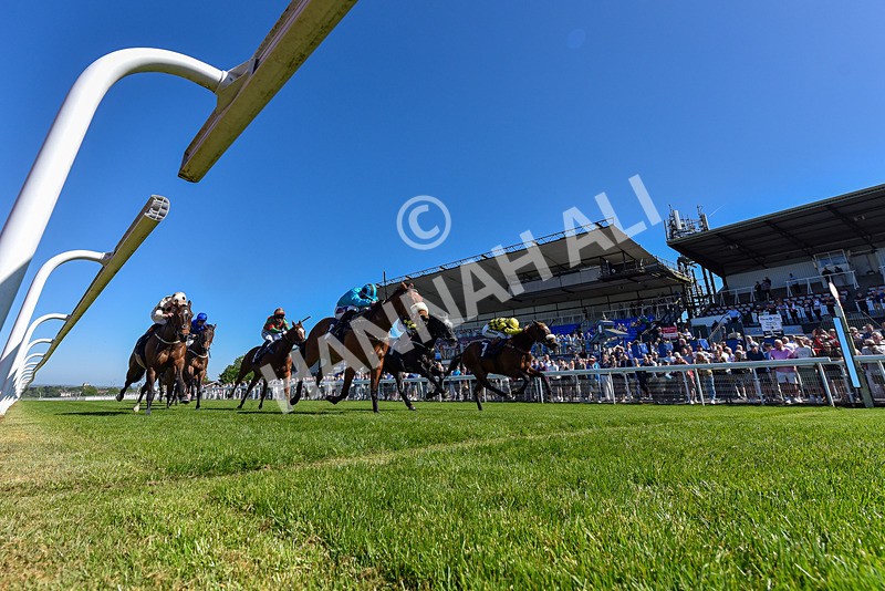 130525-Race 3-Ingleby Archie-1902 - Race 3