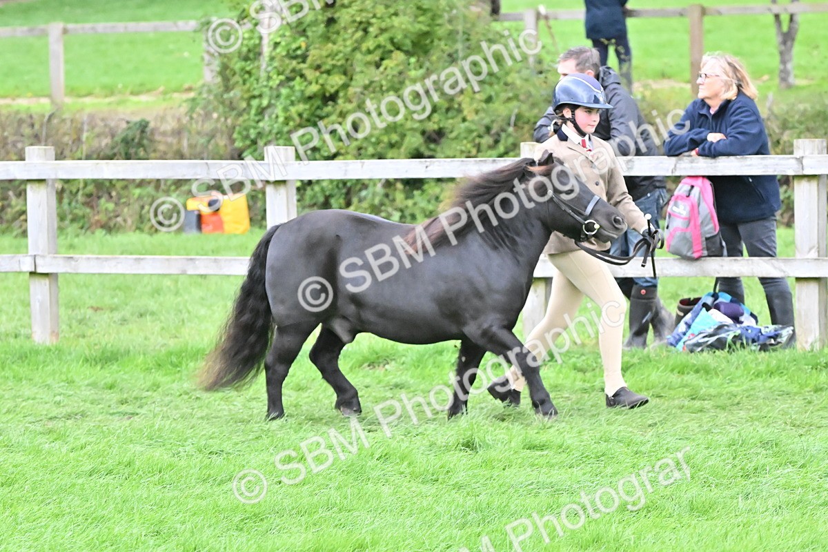 SBM_68542 - S42 - Junior Handler 9-12 Years